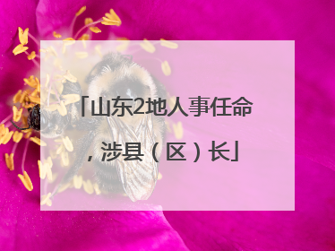 山东2地人事任命，涉县（区）长