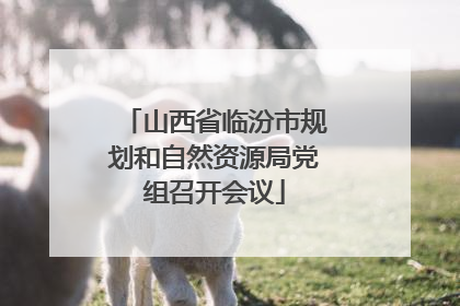 山西省临汾市规划和自然资源局党组召开会议