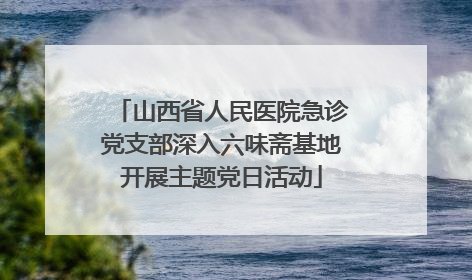 山西省人民医院急诊党支部深入六味斋基地开展主题党日活动