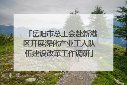 岳阳市总工会赴新港区开展深化产业工人队伍建设改革工作调研