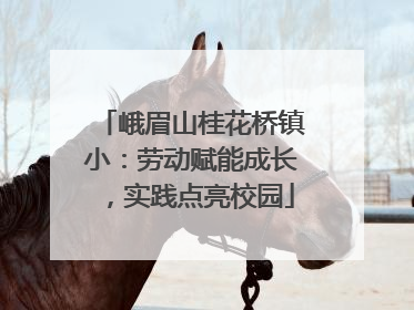 峨眉山桂花桥镇小：劳动赋能成长，实践点亮校园