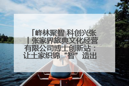 峰林聚智 科创兴张丨张家界旅典文化经营有限公司博士创新站：让土家织锦“智”造出非遗新传奇