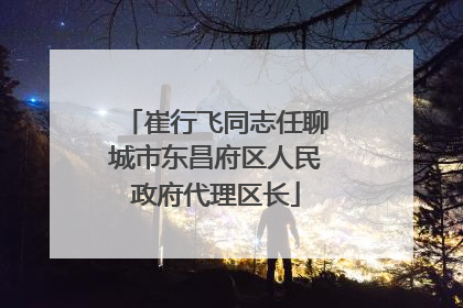 崔行飞同志任聊城市东昌府区人民政府代理区长