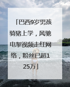 巴西9岁男孩骑猪上学，风驰电掣视频走红网络，粉丝已超125万