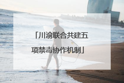 川渝联合共建五项禁毒协作机制