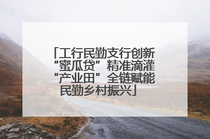 工行民勤支行创新“蜜瓜贷”精准滴灌“产业田”全链赋能民勤乡村振兴