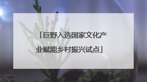 巨野入选国家文化产业赋能乡村振兴试点