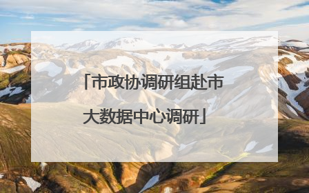市政协调研组赴市大数据中心调研