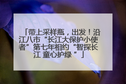 带上采样瓶，出发！沿江八市“长江大保护小使者”第七年相约“智探长江 童心护绿 ”