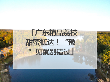 广东精品荔枝甜蜜抵达！“豫”见就别错过