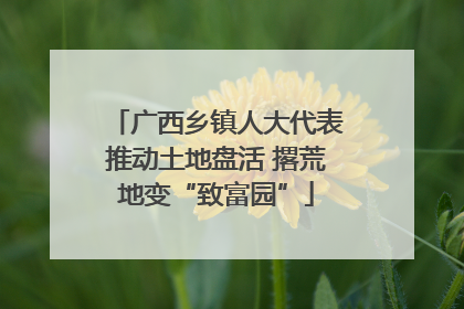 广西乡镇人大代表推动土地盘活 撂荒地变“致富园”