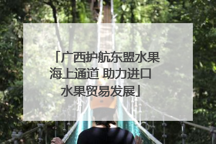 广西护航东盟水果海上通道 助力进口水果贸易发展