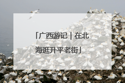 广西游记｜在北海逛升平老街