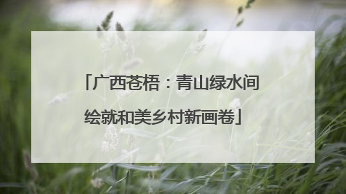 广西苍梧：青山绿水间绘就和美乡村新画卷