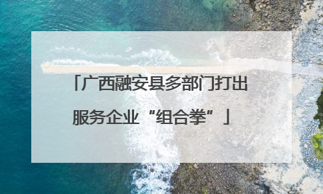 广西融安县多部门打出服务企业“组合拳”