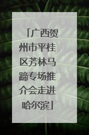 广西贺州市平桂区芳林马蹄专场推介会走进哈尔滨