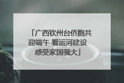 广西钦州台侨胞共迎端午 看运河建设感受家国强大