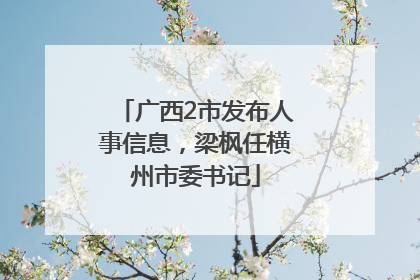 广西2市发布人事信息，梁枫任横州市委书记