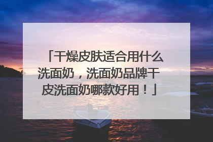 干燥皮肤适合用什么洗面奶，洗面奶品牌干皮洗面奶哪款好用！