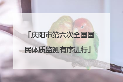 庆阳市第六次全国国民体质监测有序进行