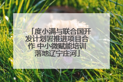 度小满与联合国开发计划署推进项目合作 中小微赋能培训落地辽宁庄河