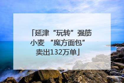 延津“玩转”强筋小麦 “魔方面包”卖出132万单