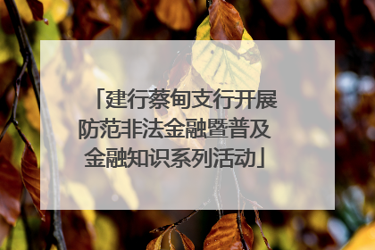 建行蔡甸支行开展防范非法金融暨普及金融知识系列活动
