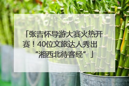 张吉怀导游大赛火热开赛！40位文旅达人秀出“湘西北待客经”