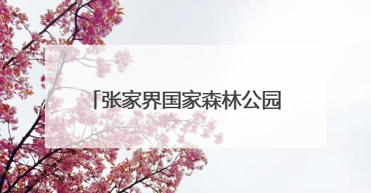 张家界国家森林公园6月15日起实施限流分流，单日最大接待量为5.3万人