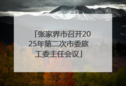 张家界市召开2025年第二次市委旅工委主任会议