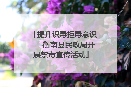 提升识毒拒毒意识——衡南县民政局开展禁毒宣传活动