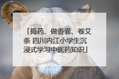 捣药、做香囊、卷艾条 四川内江小学生沉浸式学习中医药知识