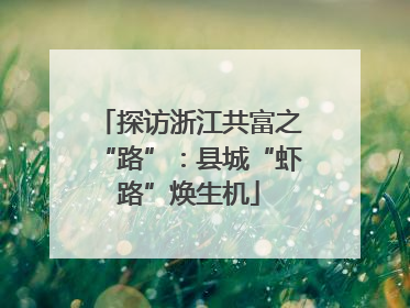 探访浙江共富之“路”：县城“虾路”焕生机