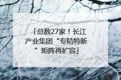 总数27家！长江产业集团“专精特新”矩阵再扩容