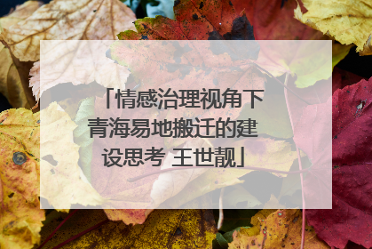 情感治理视角下青海易地搬迁的建设思考 王世靓