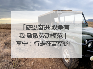 感恩奋进 双争有我·致敬劳动模范｜李宁：行走在高空的“电网卫士”