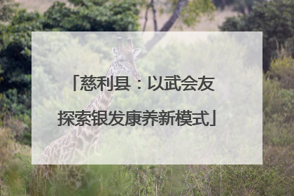 慈利县：以武会友 探索银发康养新模式