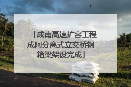 成南高速扩容工程成阿分离式立交桥钢箱梁架设完成