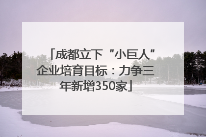 成都立下“小巨人”企业培育目标：力争三年新增350家