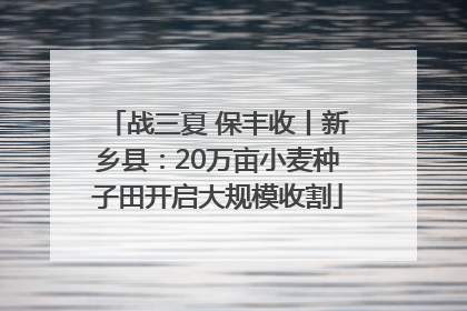 战三夏 保丰收丨新乡县：20万亩小麦种子田开启大规模收割
