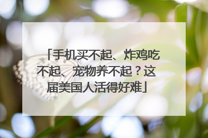 手机买不起、炸鸡吃不起、宠物养不起？这届美国人活得好难