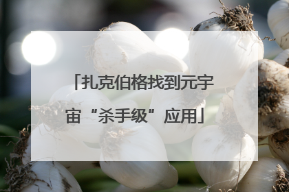 扎克伯格找到元宇宙“杀手级”应用