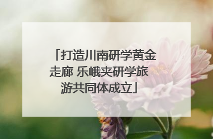 打造川南研学黄金走廊 乐峨夹研学旅游共同体成立