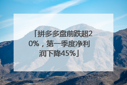 拼多多盘前跌超20%，第一季度净利润下降45%