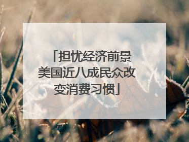 担忧经济前景 美国近八成民众改变消费习惯