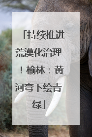 持续推进荒漠化治理！榆林：黄河弯下绘青绿