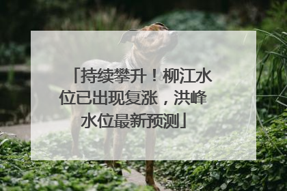 持续攀升！柳江水位已出现复涨，洪峰水位最新预测