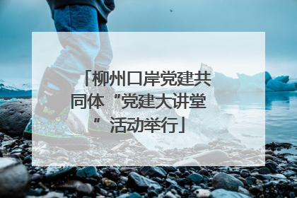 柳州口岸党建共同体“党建大讲堂”活动举行