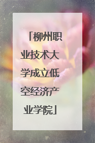 柳州职业技术大学成立低空经济产业学院