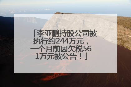 李亚鹏持股公司被执行约244万元，一个月前因欠税561万元被公告！